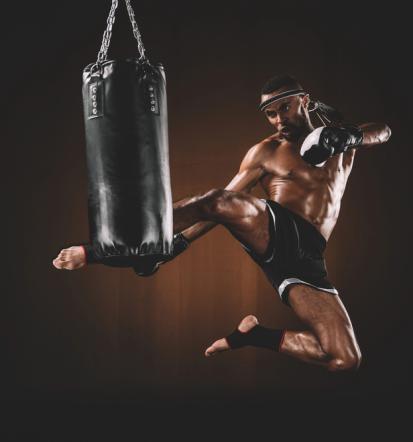 Povezovanje kickboxing klubov v Sloveniji