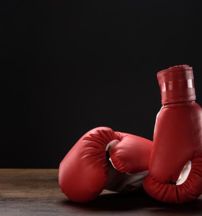 Kickbox je izjemno popularna borilna veščina