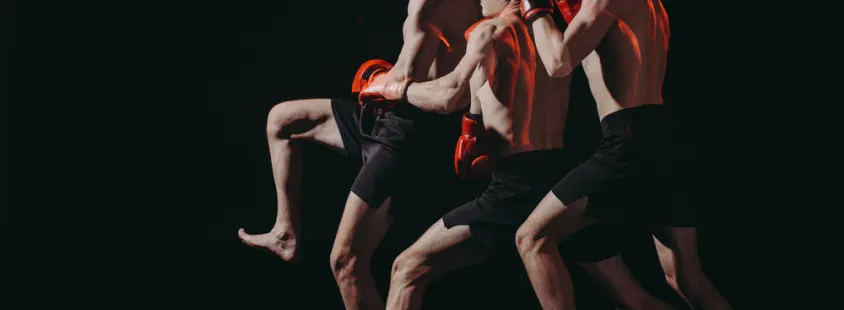 Zveza kickboxinga Slovenija