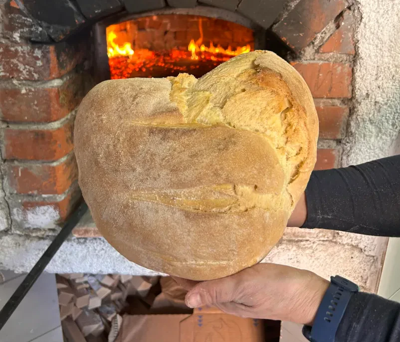 Dober kmečki turizem na Goriškem in Krasu z okolico