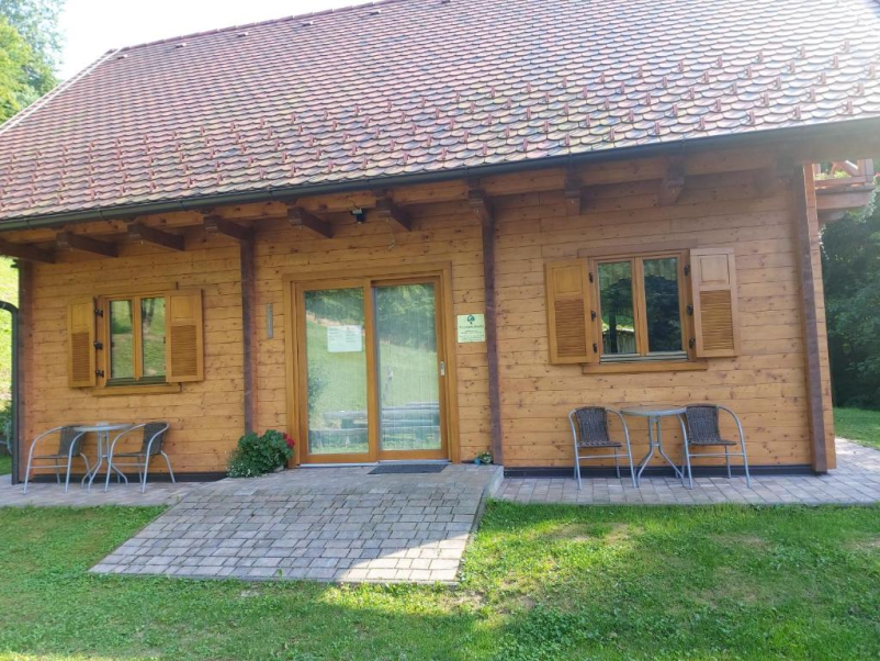Kvalitetna počitniška hiša Podravska