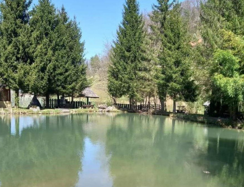 Prodaja in peka rib Prebold