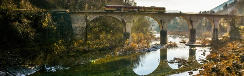 Ribiška družina Nova Gorica