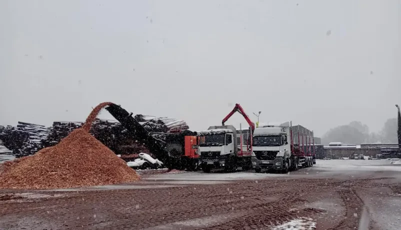 Odločite se za transport in prodajo hlodovine in lesne biomase pri top ponudniku - pri nas