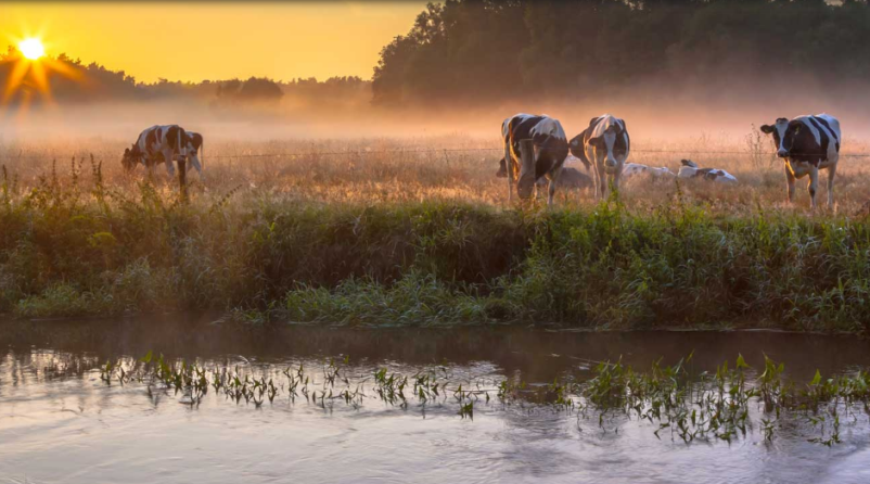 Veterinarska postaja Cerknica