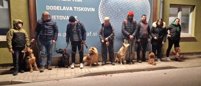 Vzgoja psov Grosuplje - urbano okolje