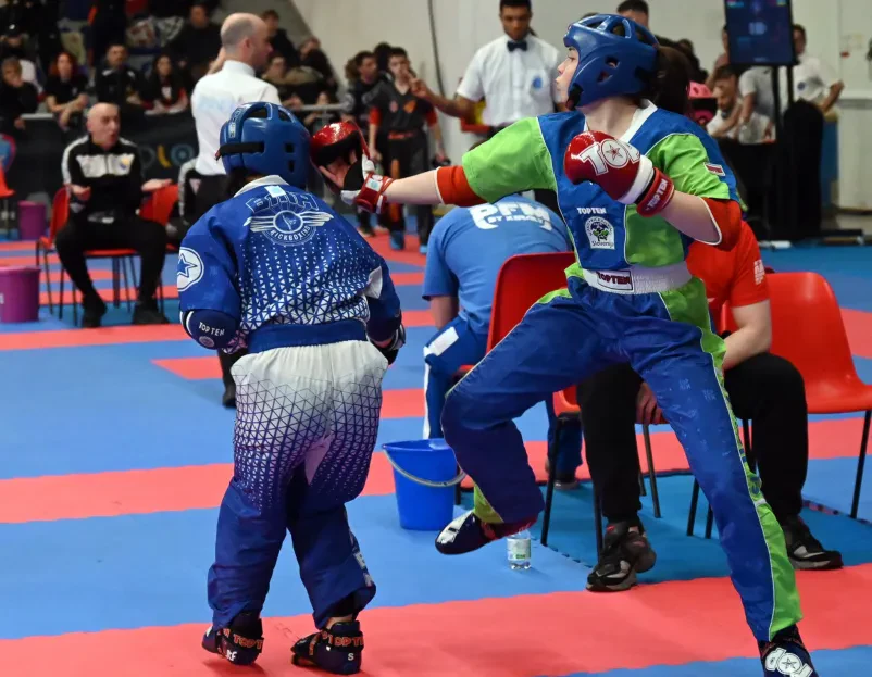 Profesionalna zveza kickboxinga Slovenija
