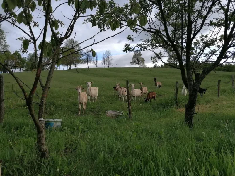 Nastanitev na domačiji Malnarjevi Prestranek