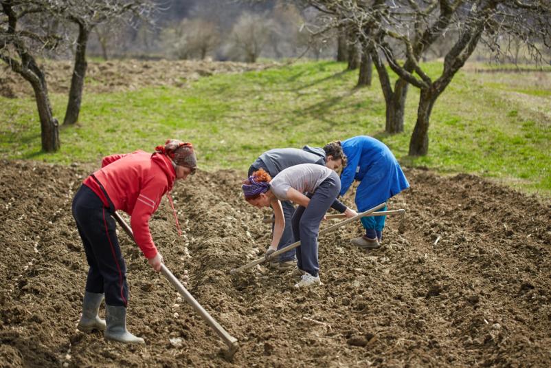 Vabljeni na vpis v društvo kmečkih žena Pomurje