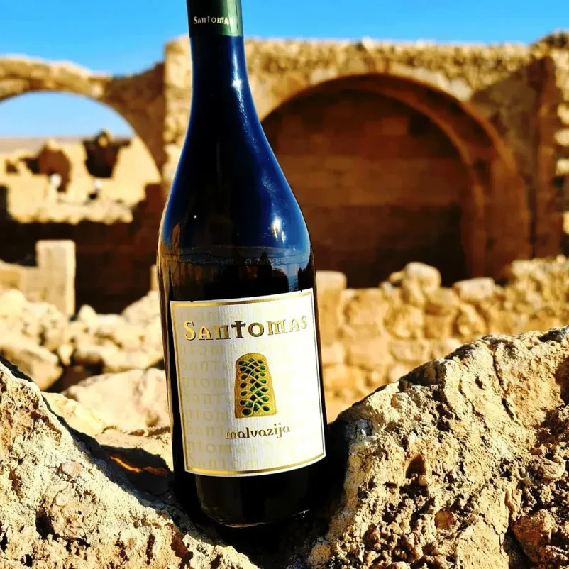 Naša vinska klet vam nudi degustacijo vrhunskih domačih vin na Obali