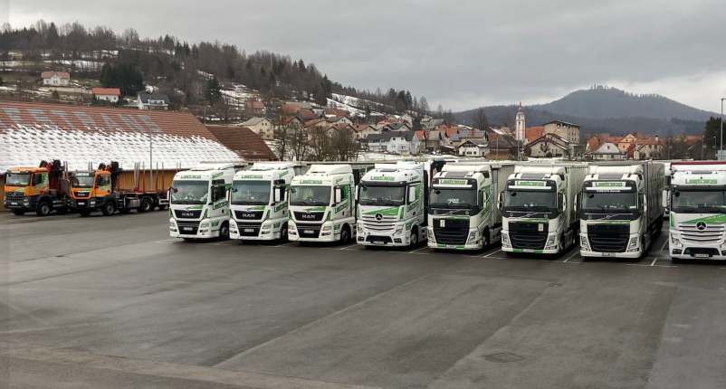 Mednarodni transport lesa, odkup lesa, kontaktirajte nas