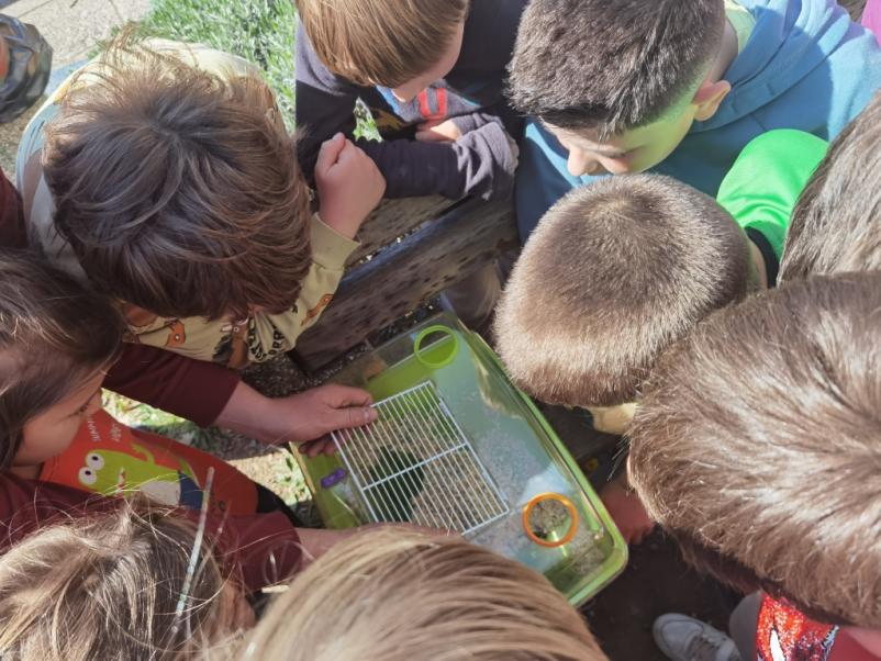 Osnovna šola in vrtec Goriška