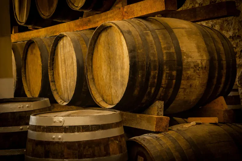 Vabljeni na pokušino vrhunskih vin in degustacijo v Goriška Brda!
