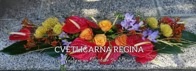 Dobra cvetličarna Ljubljana, Osrednja Slovenija