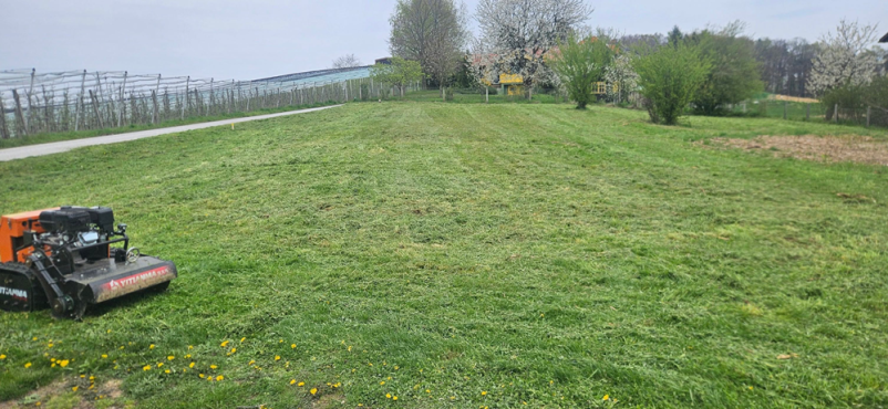 Obrezovanje dreves in grmičevja
