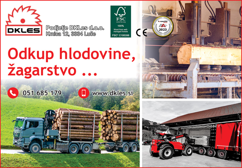 Odkup in prodaja lesa Savinjska, kontaktirajte nas