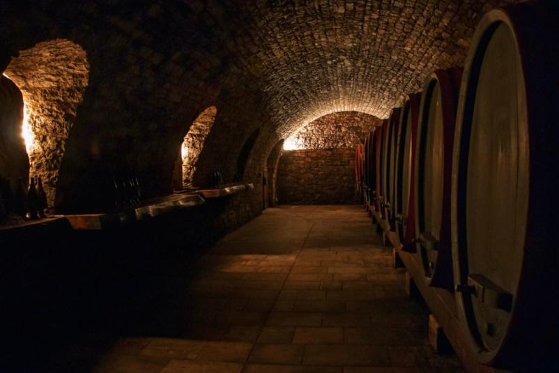 Odlične degustacije in ogled vinske kleti Kras
