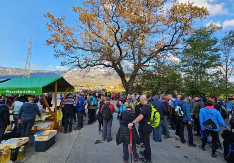 Pohodi po Vipavskem, narava, vino, zgodovina in topli domačini na vsakem koraku