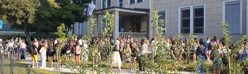 Vpis otrok v osnovno šolo Ptuj, OŠ Mladika