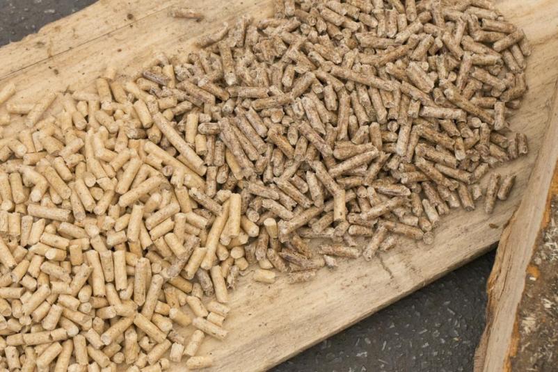 Kakovosten les za kurjavo Primorska