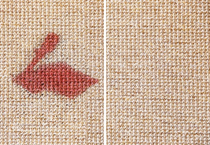 Prodaja parnih čistilcev Birba by Diva