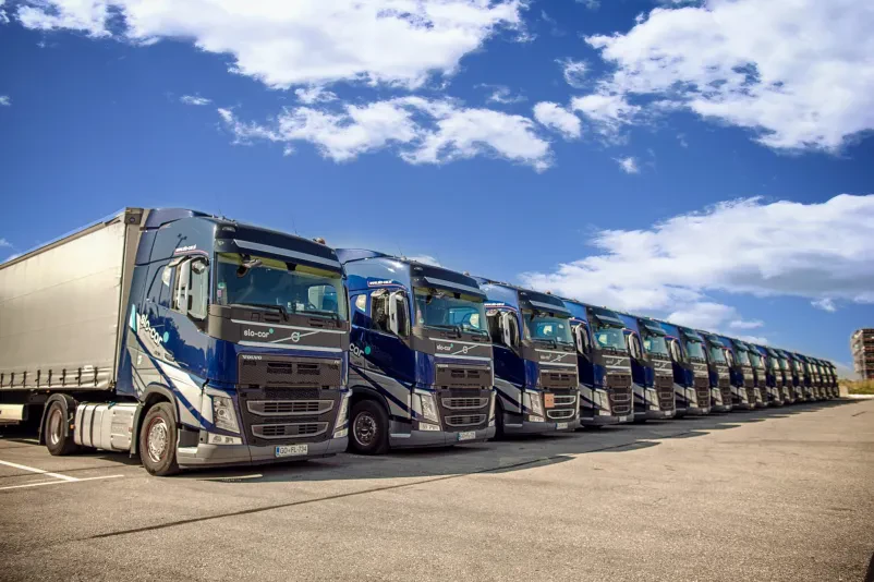 Transportne in logistične storitve Slovenija, tujina