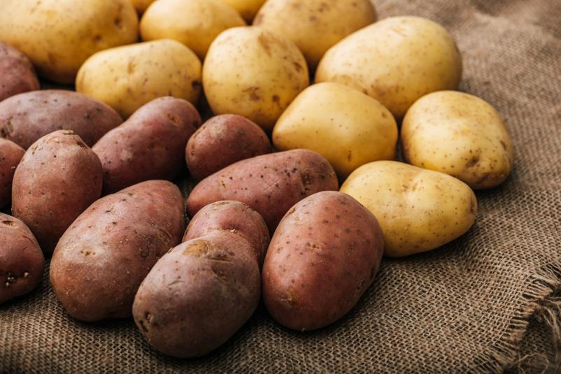 Prodaja ugodnega in kvalitetnega krompirja na Pomurskem