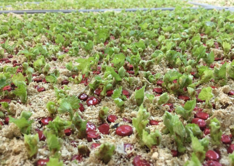 Ugodna oprema za vinograde Štajerska, top ponudba
