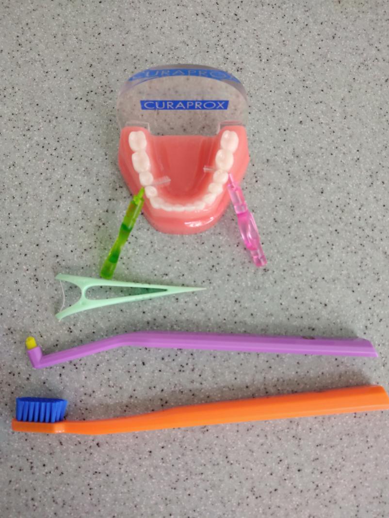 Najboljša ustna higieničarka na Goriškem