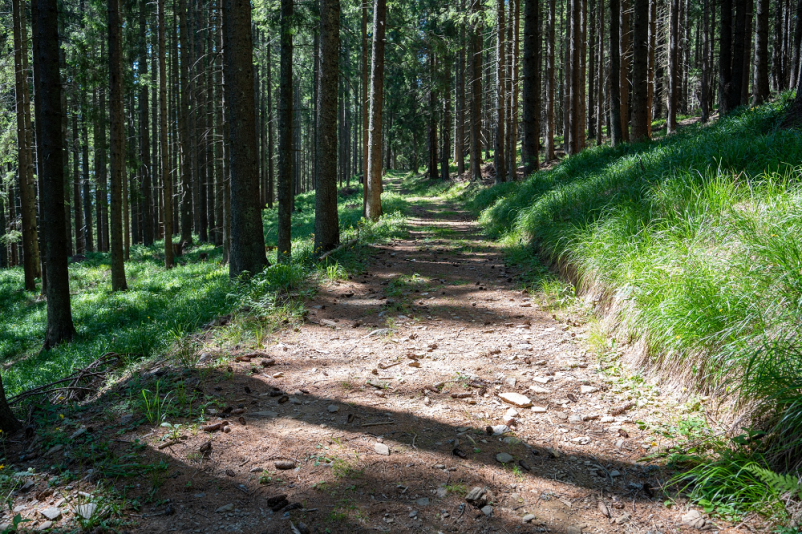 Vodeni turistični ogledi Mislinja