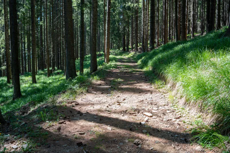 Vodeni turistični ogledi Mislinja