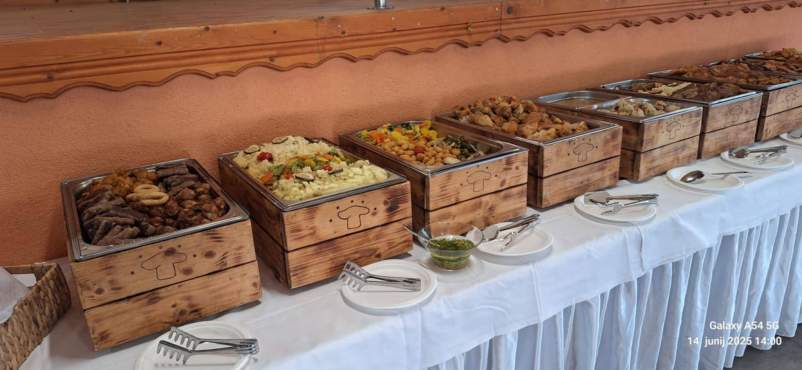 Catering za dogodke Štajerska