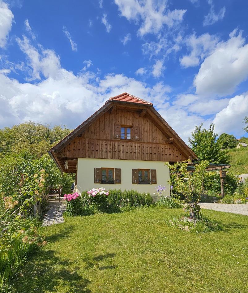 Zunanji ambient – narava, terasa, vinogradi