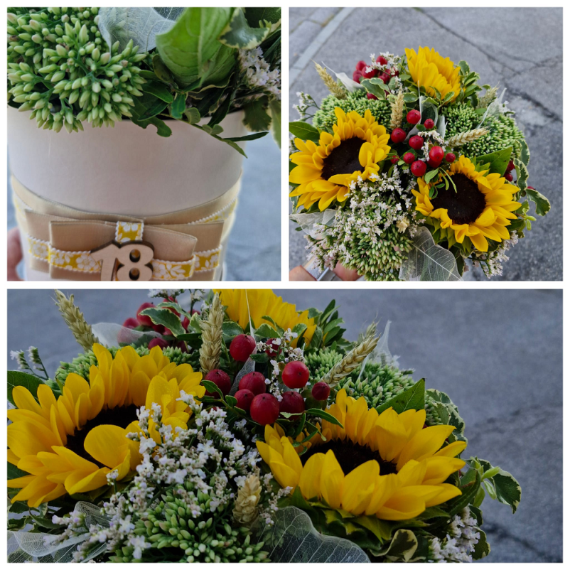 Lepi šopki, Šmarje pri Jelšah