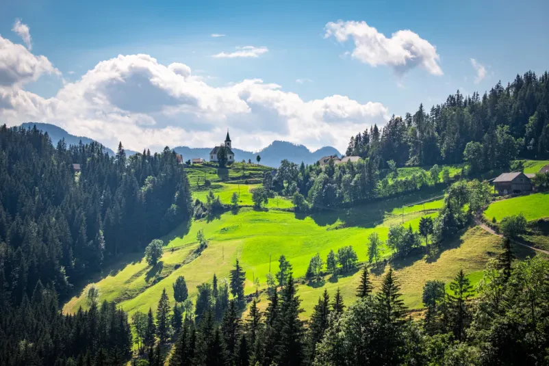 Hišne živali dobrodošle, oddajanje sobe Stahovica, Gorenjska