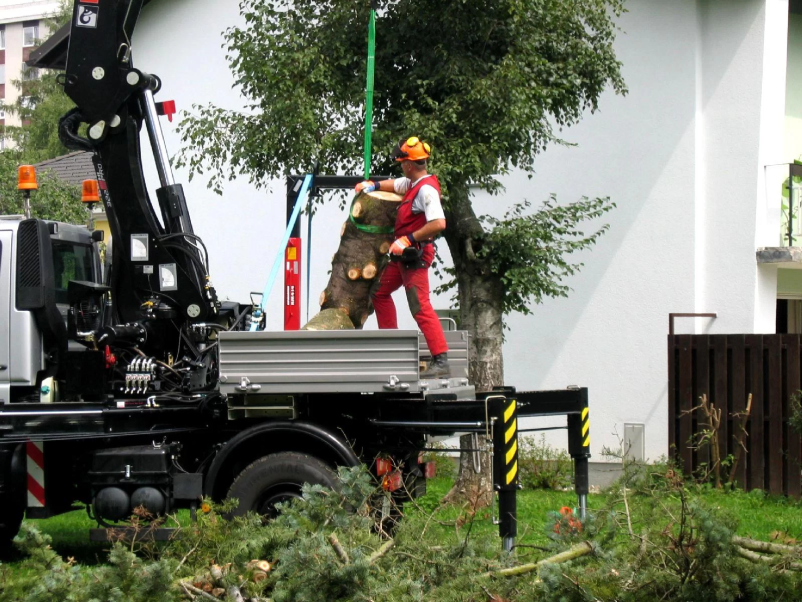 Storitve z avtodvigalom Gorenjska, top ponudba