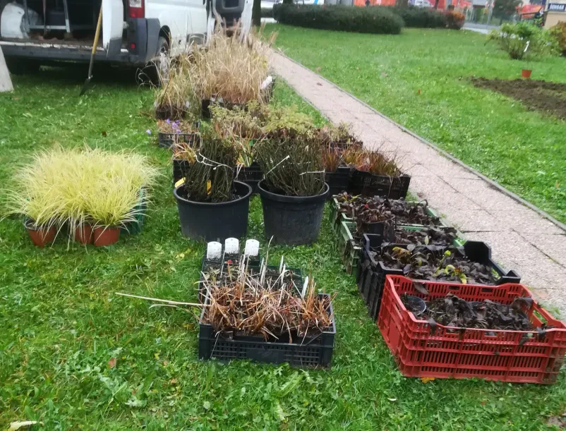 Vzdrževanje in urejanje okolice Goriška, top ponudba