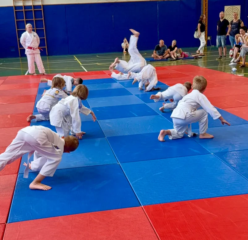 Judo klub Domžale, idealno mesto za otroke začetnike