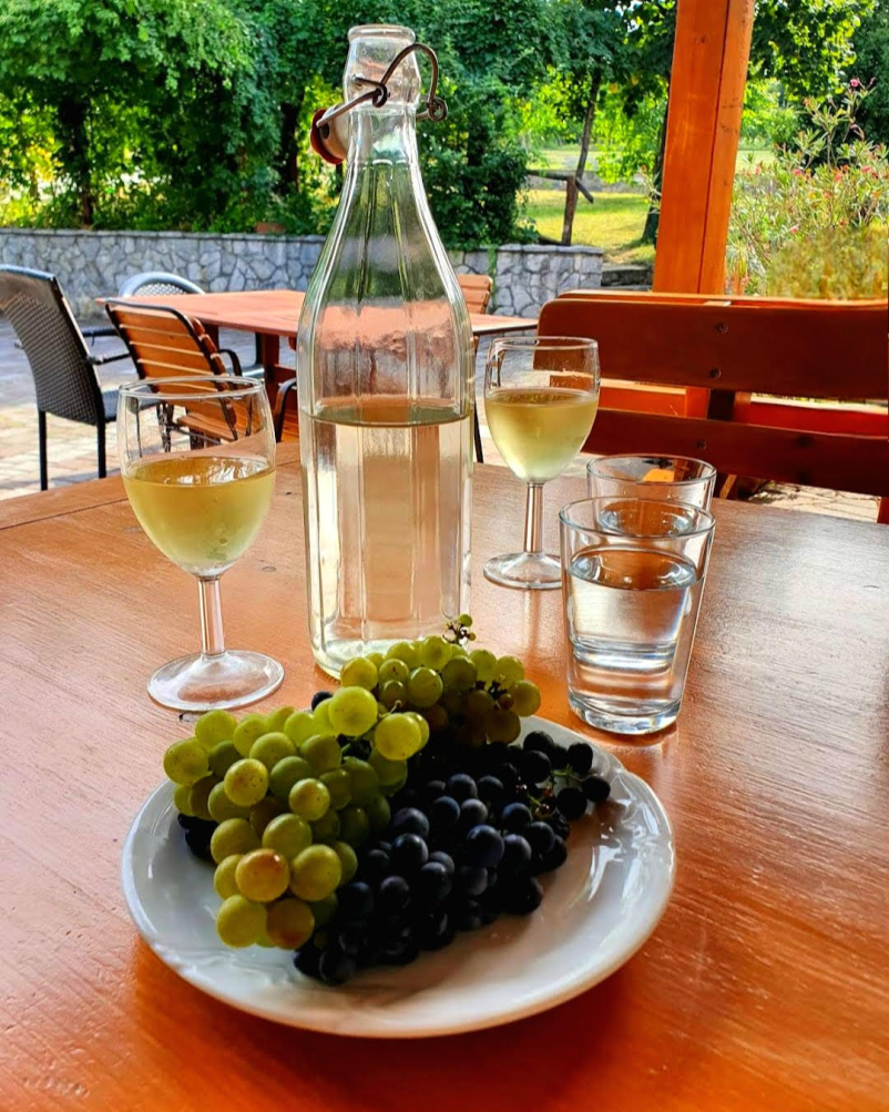 Siamo a tua disposizione per pernottamenti a prezzi accessibili a Vipava nella regione di Goriška, sei invitato a Penzion na hribu