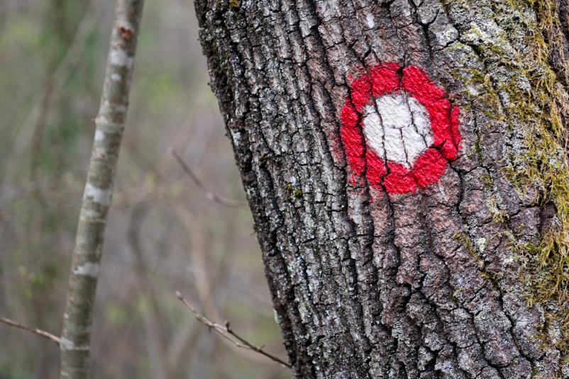 Dom na Pečkah, vaša planinska postojanka na Podravskem