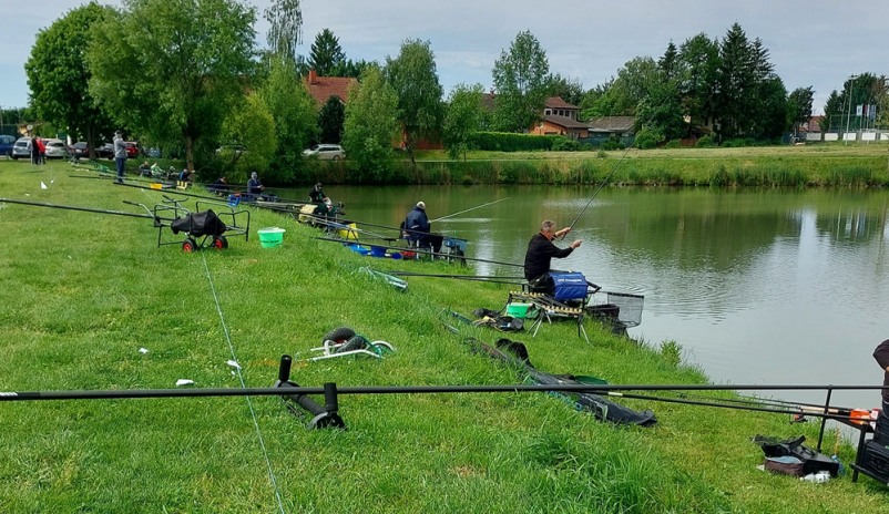 Postanite član Ribiške družine Ptuj, v Podravju