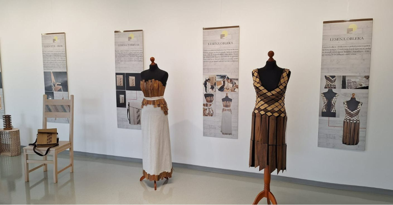 Višja strokovna šola za les in oblikovanje Podravska, prava izbira