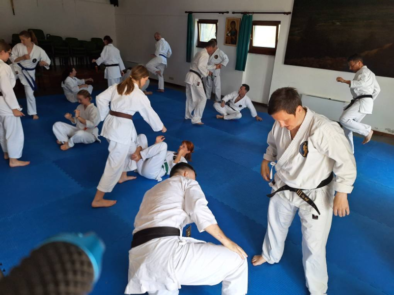 Karate in borilne veščine za odrasle in otroke Ljubljana Osrednja Slovenija