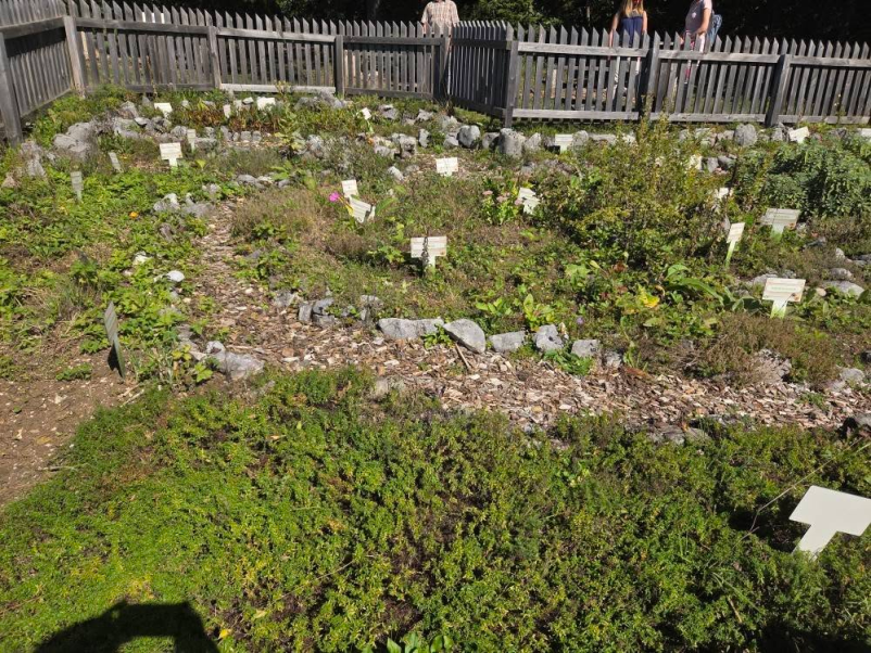 Energijska podpora in svetovanje z angelskimi sporočili Slovenija