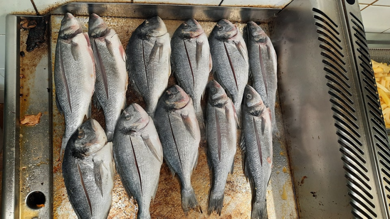 Najboljša pizzerija Koper, Obala, Primorska, obiščite nas
