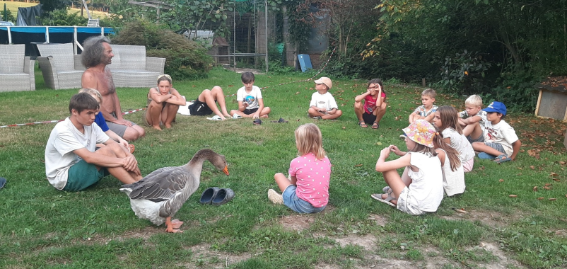 Praznovanje rojstnega dne na kmetiji Ljubljana, Slovenija, zabava in stik z živalmi