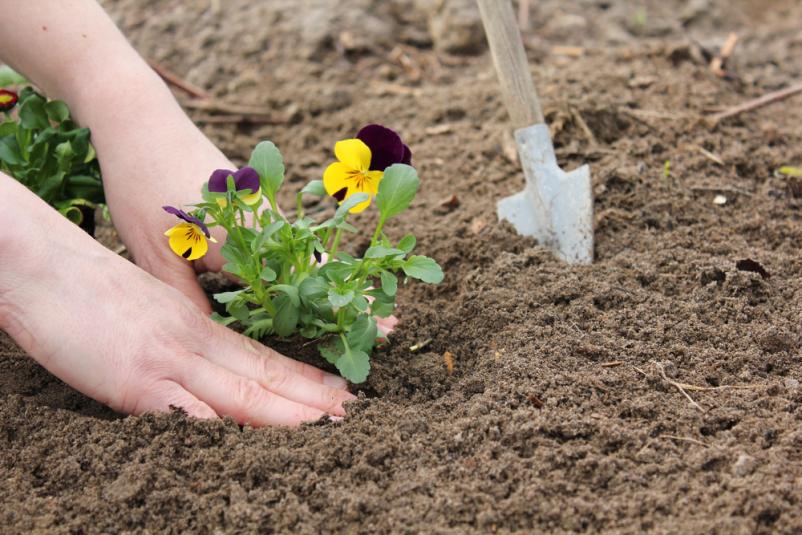 Kvalitetno urejanje vrtov Kranj in okolica - Vrtnarija Gaj