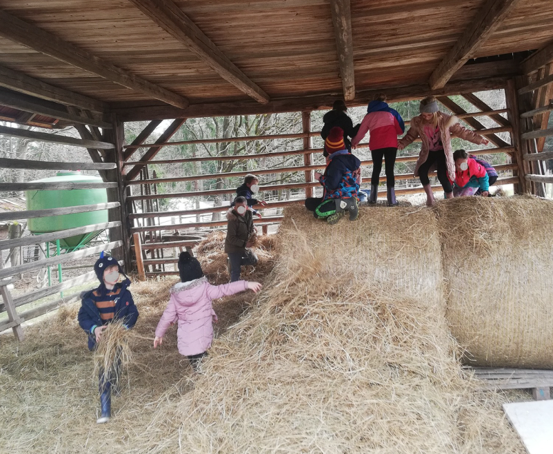 Zabavna in ustvarjalna rojstnodnevna animacija Vojnik, Savinjska