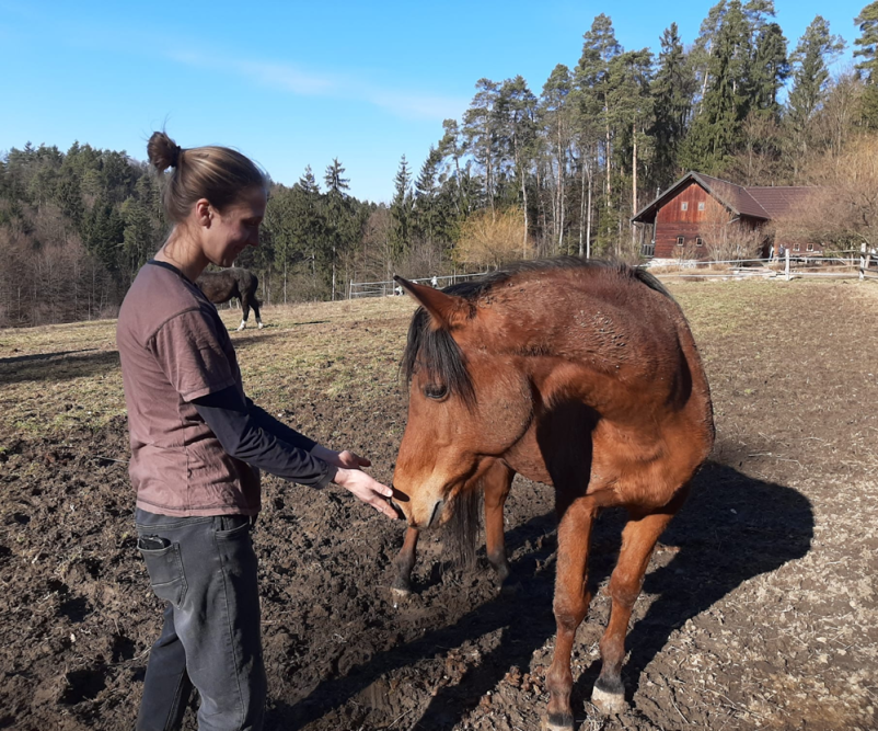 Teambuilding za podjetja Slovenija, Savinjska, kjer se sodelavci iz pisarne spremenijo v ekipo za akcijo!