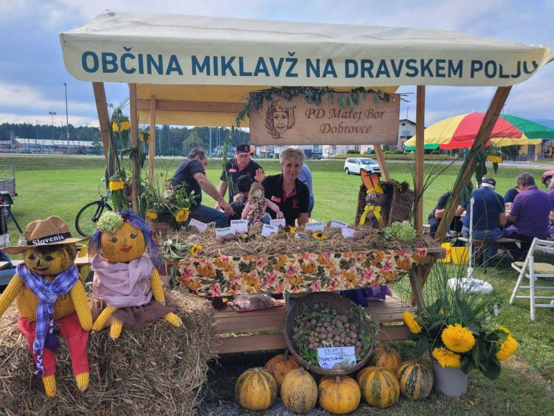 Turistično društvo Miklavž na Dravskem polju